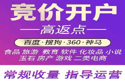 谷歌竞价案例：成功案例分析及启示